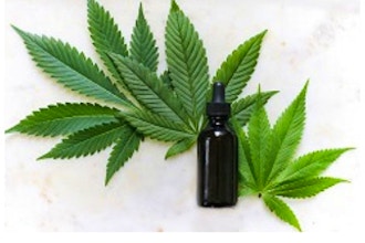 Recreational Vs Medical Cannabis